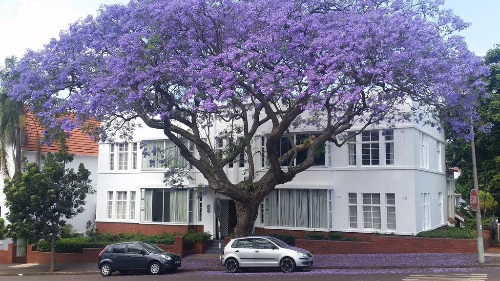 Talyllyn Apartment Durban Exterior photo